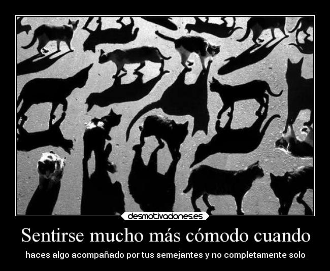 carteles vettel ganara cuarta corona con ese cohete hacia hasta massa desmotivaciones