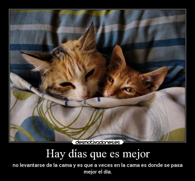 carteles telyg ejercitodemar yahoramevuelvopokehipster buscolaexcepcionnolaregla aisht desmotivaciones