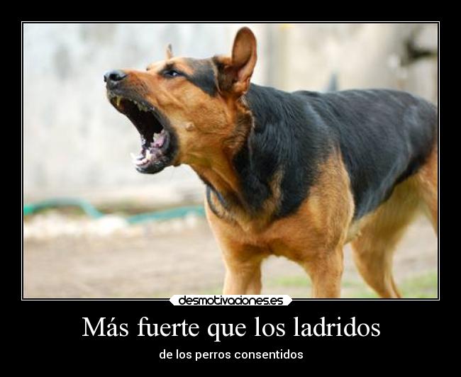 Más fuerte que los ladridos - de los perros consentidos