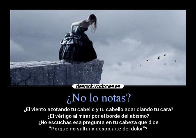carteles preguntas del borde del precipicio lelele jajejijoju parawhore desmotivaciones