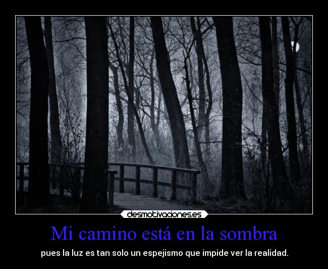 Mi camino está en la sombra - 