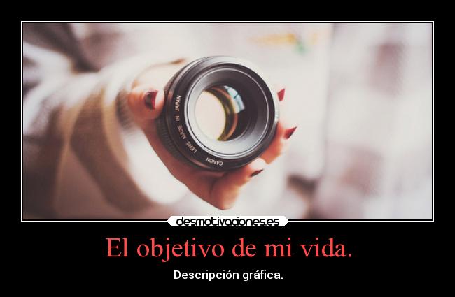 El objetivo de mi vida. - Descripción gráfica.