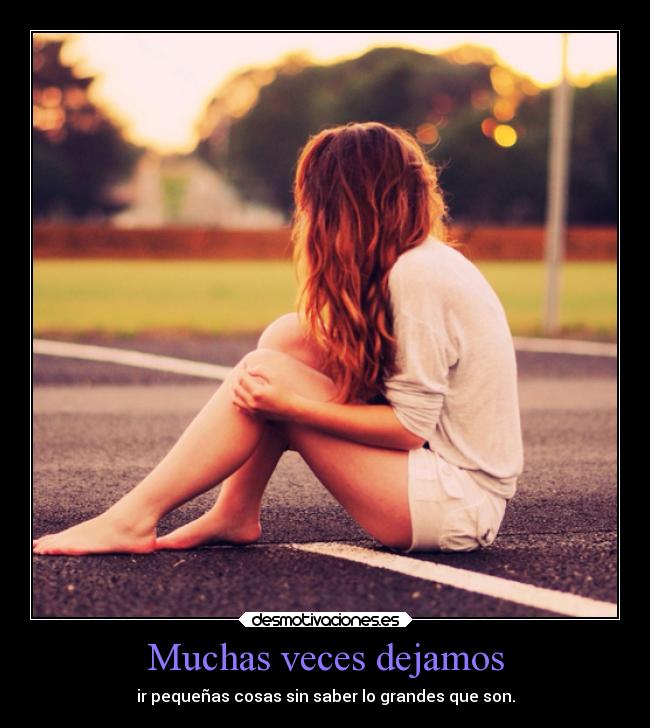 carteles muchas veces dejamos pequenas cosas grandes desmotivaciones