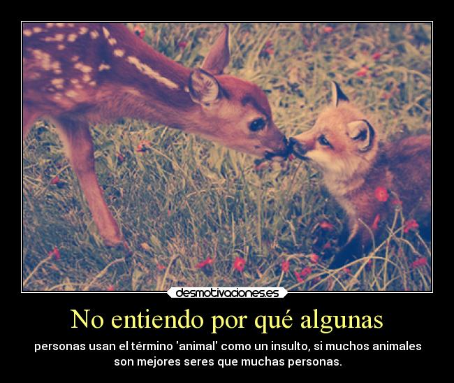 No entiendo por qué algunas - 