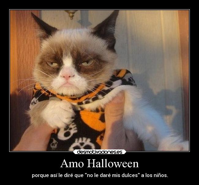 Amo Halloween - 