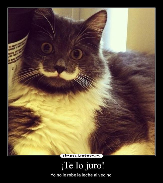 ¡Te lo juro! - Yo no le robe la leche al vecino.