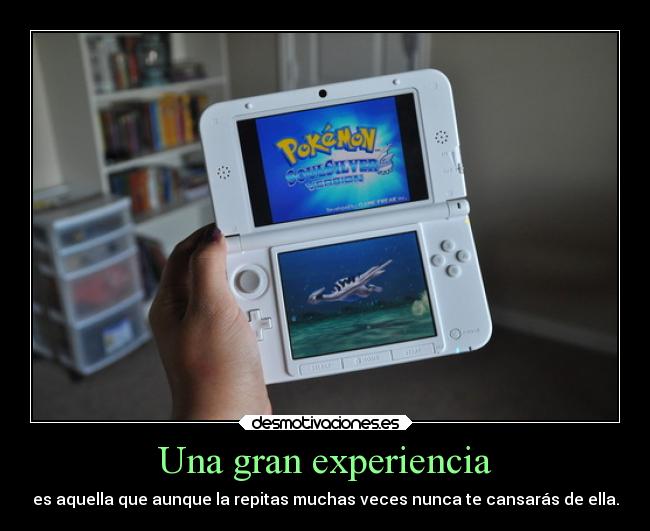 Una gran experiencia - 