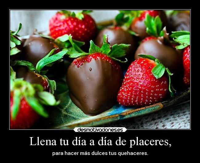 carteles telyg ejercitodemar yahoramevuelvopokehipster buscolaexcepcionnolaregla aisht desmotivaciones