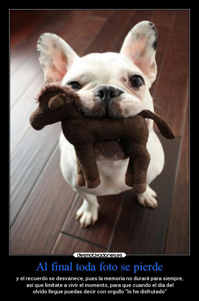 carteles telyg ejercitodemar yahoramevuelvopokehipster buscolaexcepcionnolaregla desmotivaciones