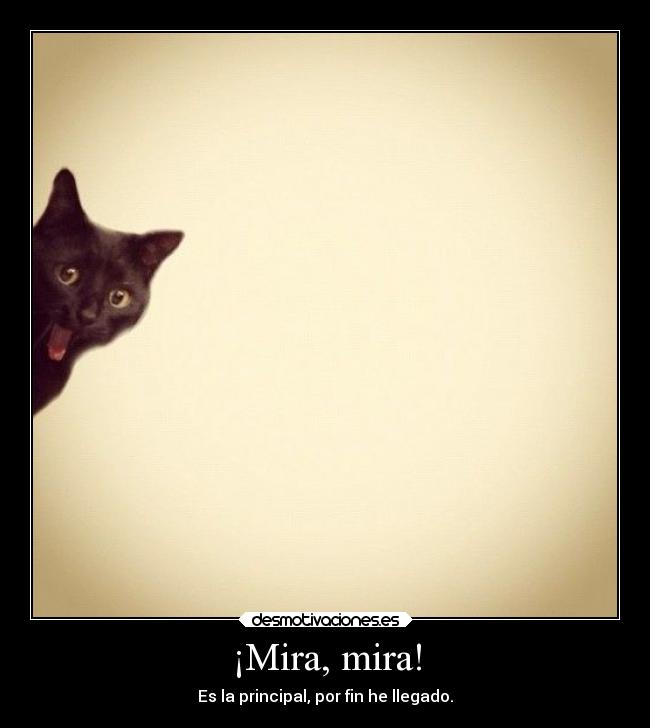 ¡Mira, mira! - Es la principal, por fin he llegado.