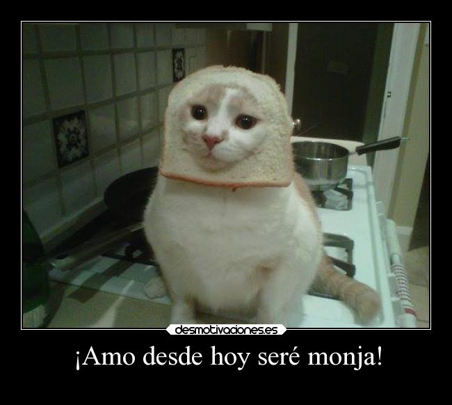 ¡Amo desde hoy seré monja! -