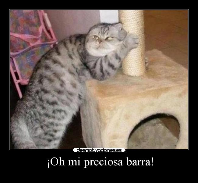 ¡Oh mi preciosa barra! -