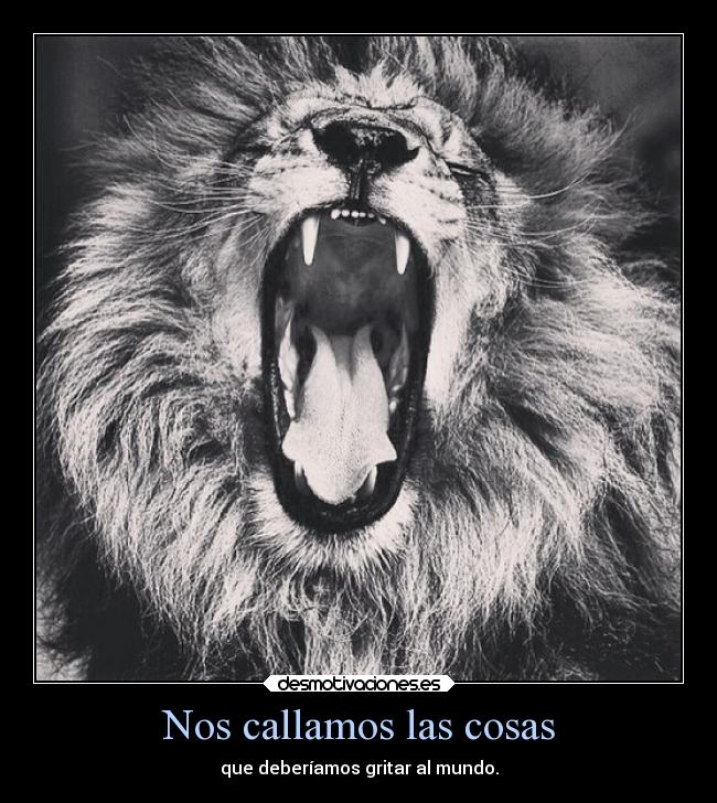 Nos callamos las cosas - que deberíamos gritar al mundo.