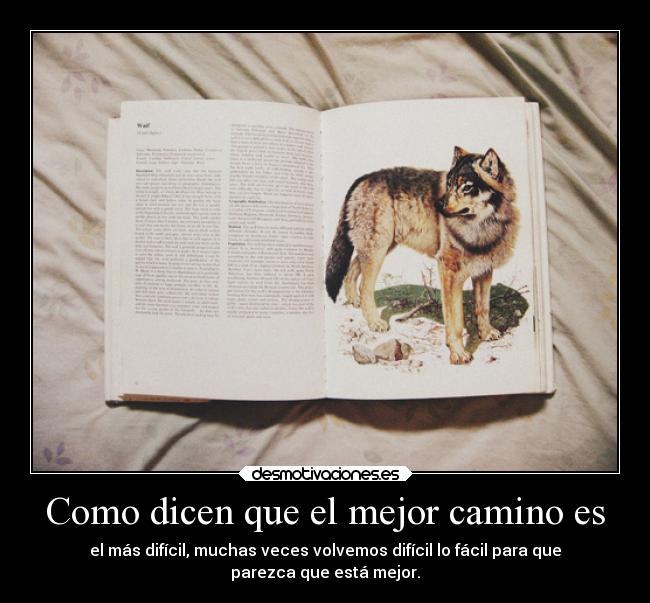 Como dicen que el mejor camino es - el más difícil, muchas veces volvemos difícil lo fácil para que
parezca que está mejor.