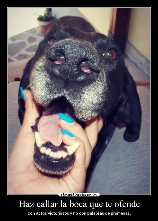 carteles telyg ejercitodemar yahoramevuelvopokehipster buscolaexcepcionnolaregla desmotivaciones