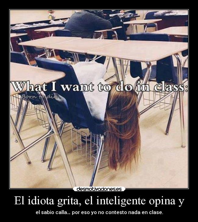 El idiota grita, el inteligente opina y - 