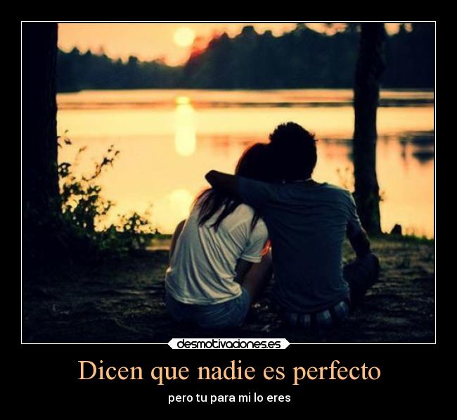 Dicen que nadie es perfecto - 