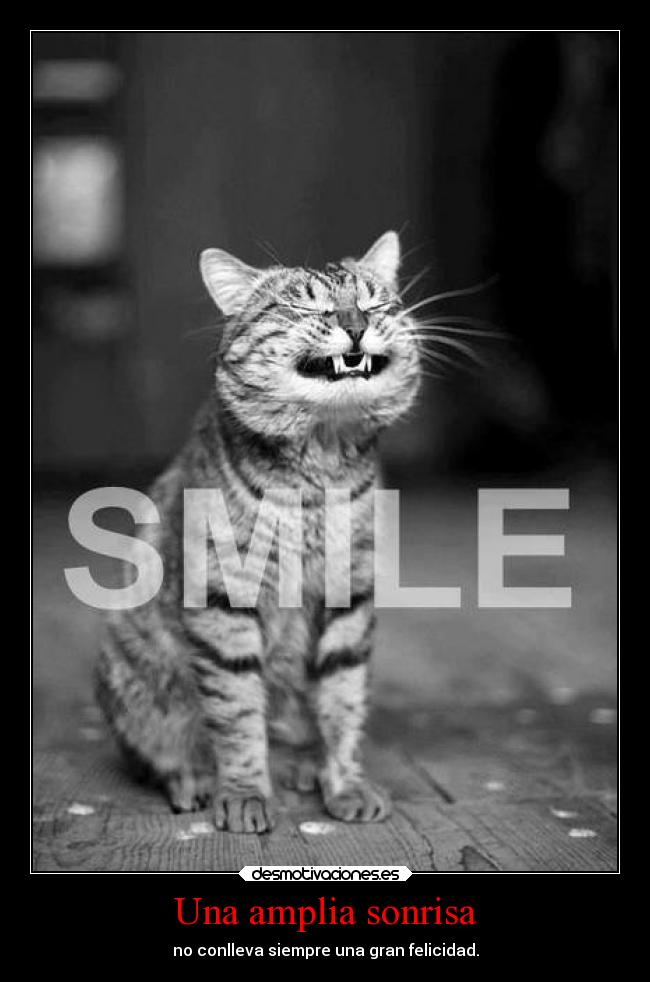 Una amplia sonrisa - 