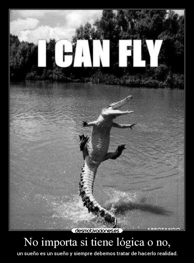 No importa si tiene lógica o no, - un sueño es un sueño y siempre debemos tratar de hacerlo realidad.