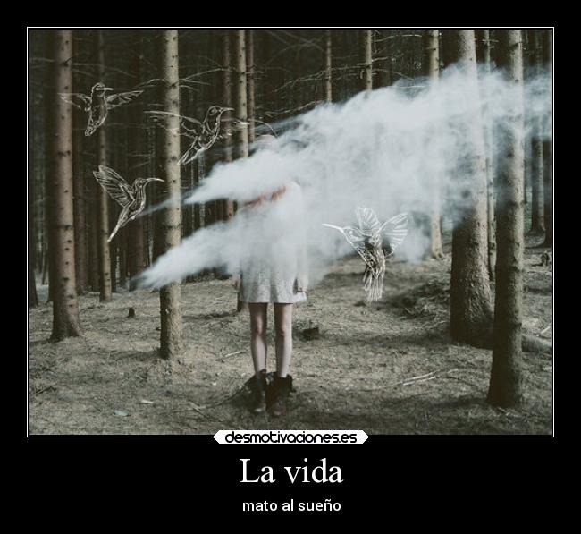 La vida - mato al sueño