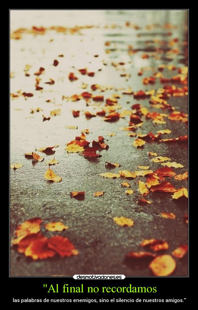 Al final no recordamos - las palabras de nuestros enemigos, sino el silencio de nuestros amigos.