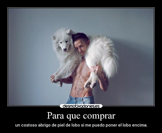Para que comprar - un costoso abrigo de piel de lobo si me puedo poner el lobo encima.