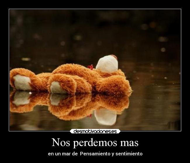 Nos perdemos mas - en un mar de Pensamiento y sentimiento
