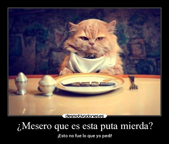 ¿Mesero que es esta puta mierda? - ¡Esto no fue lo que yo pedí!