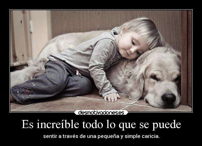 Es increíble todo lo que se puede - 