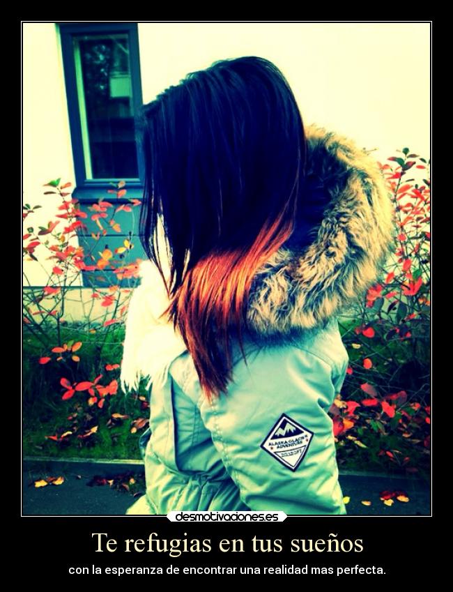 Te refugias en tus sueños -