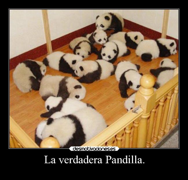 La verdadera Pandilla. - 