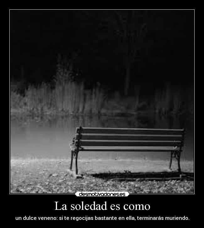 La soledad es como - un dulce veneno: si te regocijas bastante en ella, terminarás muriendo.