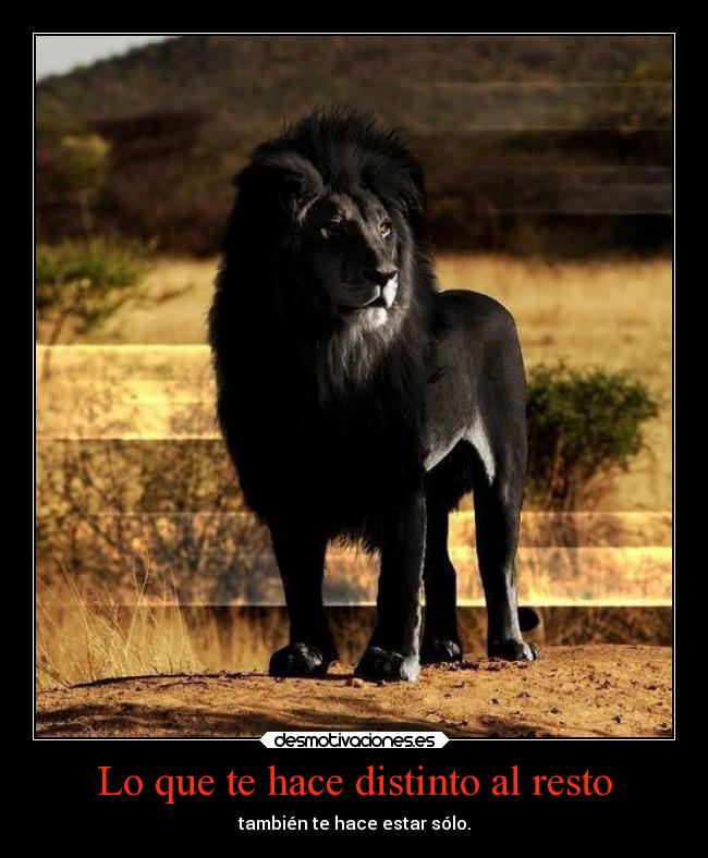 Lo que te hace distinto al resto - 