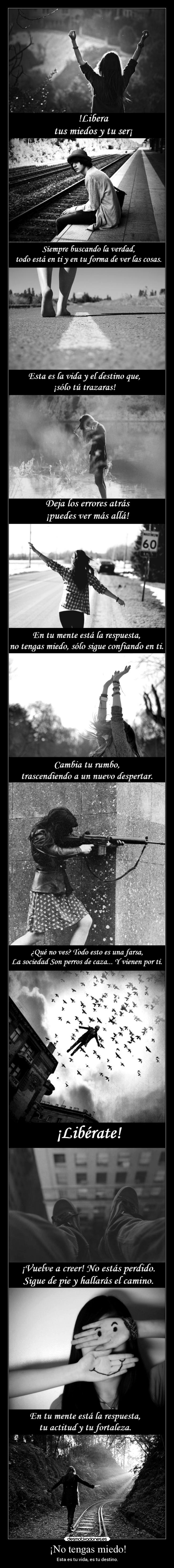 ¡No tengas miedo! - 