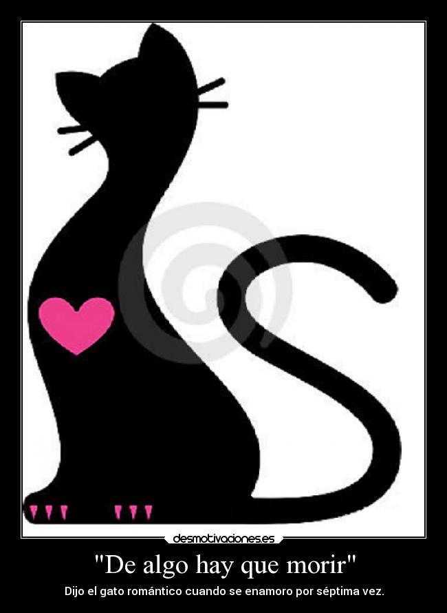 De algo hay que morir - Dijo el gato romántico cuando se enamoro por séptima vez.