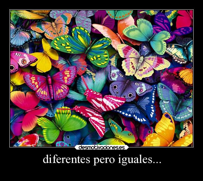 diferentes pero iguales... - 