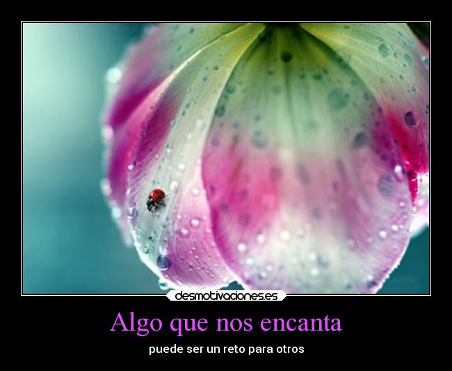 Algo que nos encanta - puede ser un reto para otros