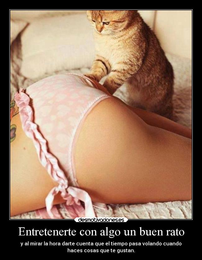 Entretenerte con algo un buen rato - 