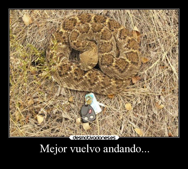 http://img.desmotivaciones.es/201310/mejorvoyandando.jpg