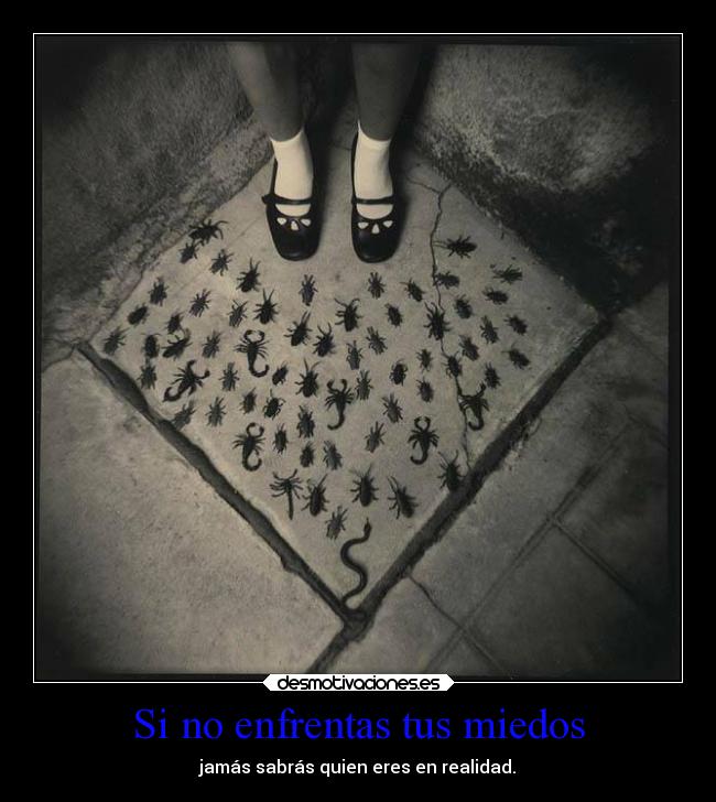 Si no enfrentas tus miedos - jamás sabrás quien eres en realidad.