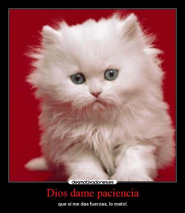 Dios dame paciencia -