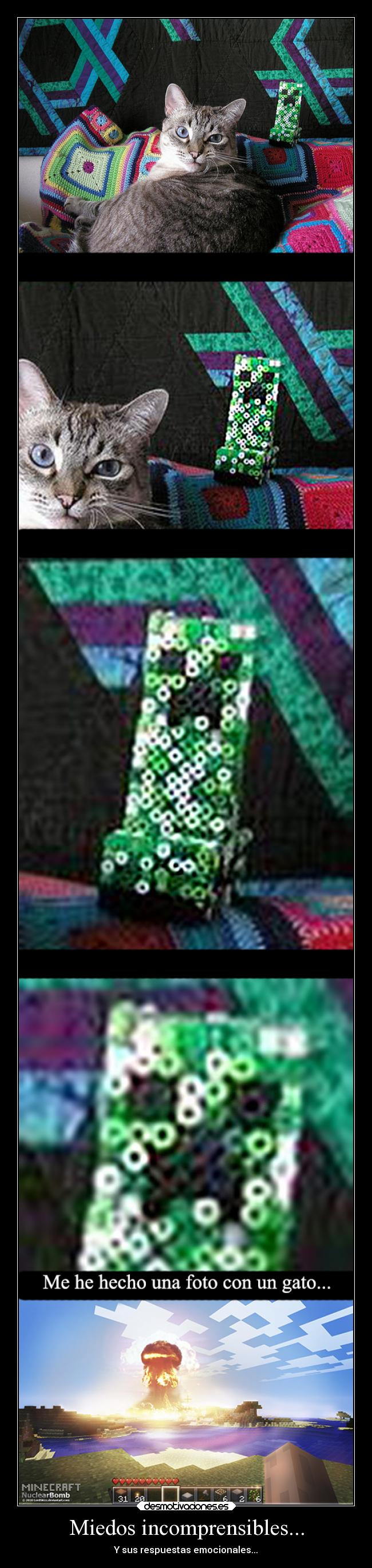 Miedos incomprensibles... - Y sus respuestas emocionales...