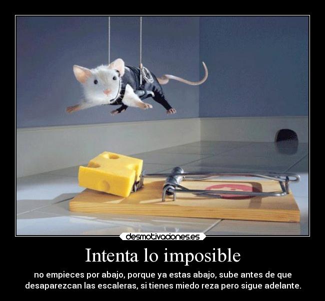 Intenta lo imposible -