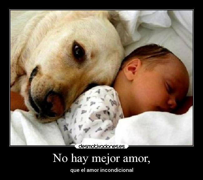 carteles amor amor desmotivaciones