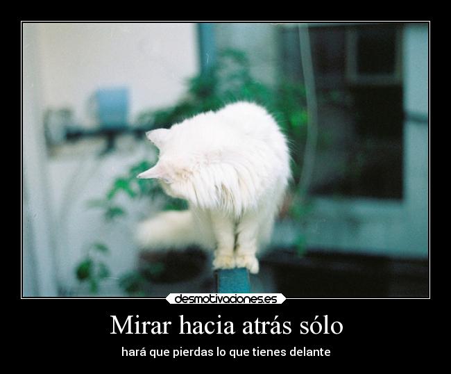 Mirar hacia atrás sólo - hará que pierdas lo que tienes delante