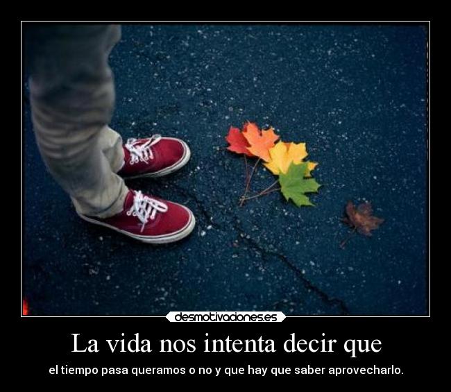 La vida nos intenta decir que - el tiempo pasa queramos o no y que hay que saber aprovecharlo.