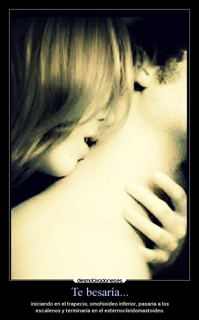 Te besaría... - iniciando en el trapecio, omohioideo inferior, pasaría a los
escalenos y terminaría en el esternocleidomastoideo.