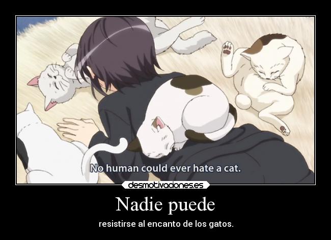 Nadie puede - resistirse al encanto de los gatos.