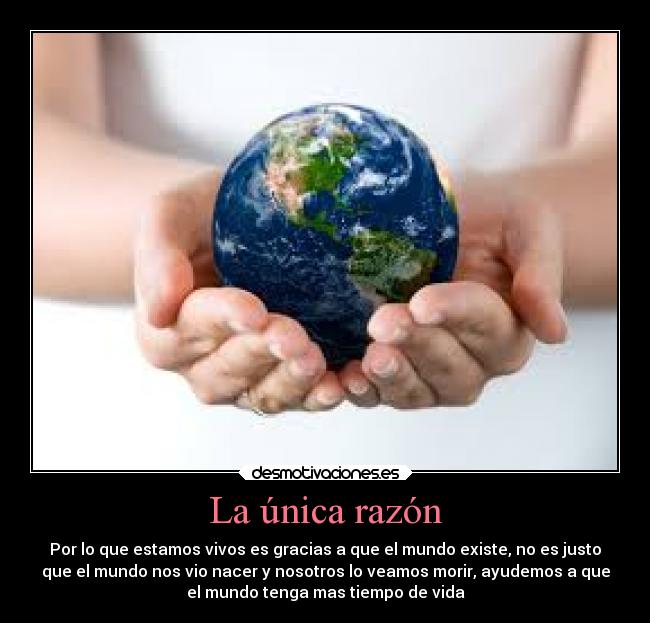 La única razón - 