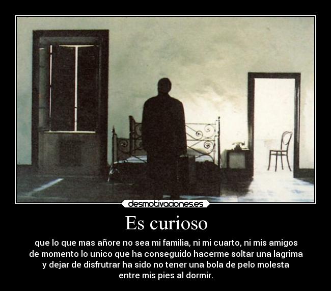 Es curioso - que lo que mas añore no sea mi familia, ni mi cuarto, ni mis amigos
de momento lo unico que ha conseguido hacerme soltar una lagrima
y dejar de disfrutrar ha sido no tener una bola de pelo molesta
entre mis pies al dormir.